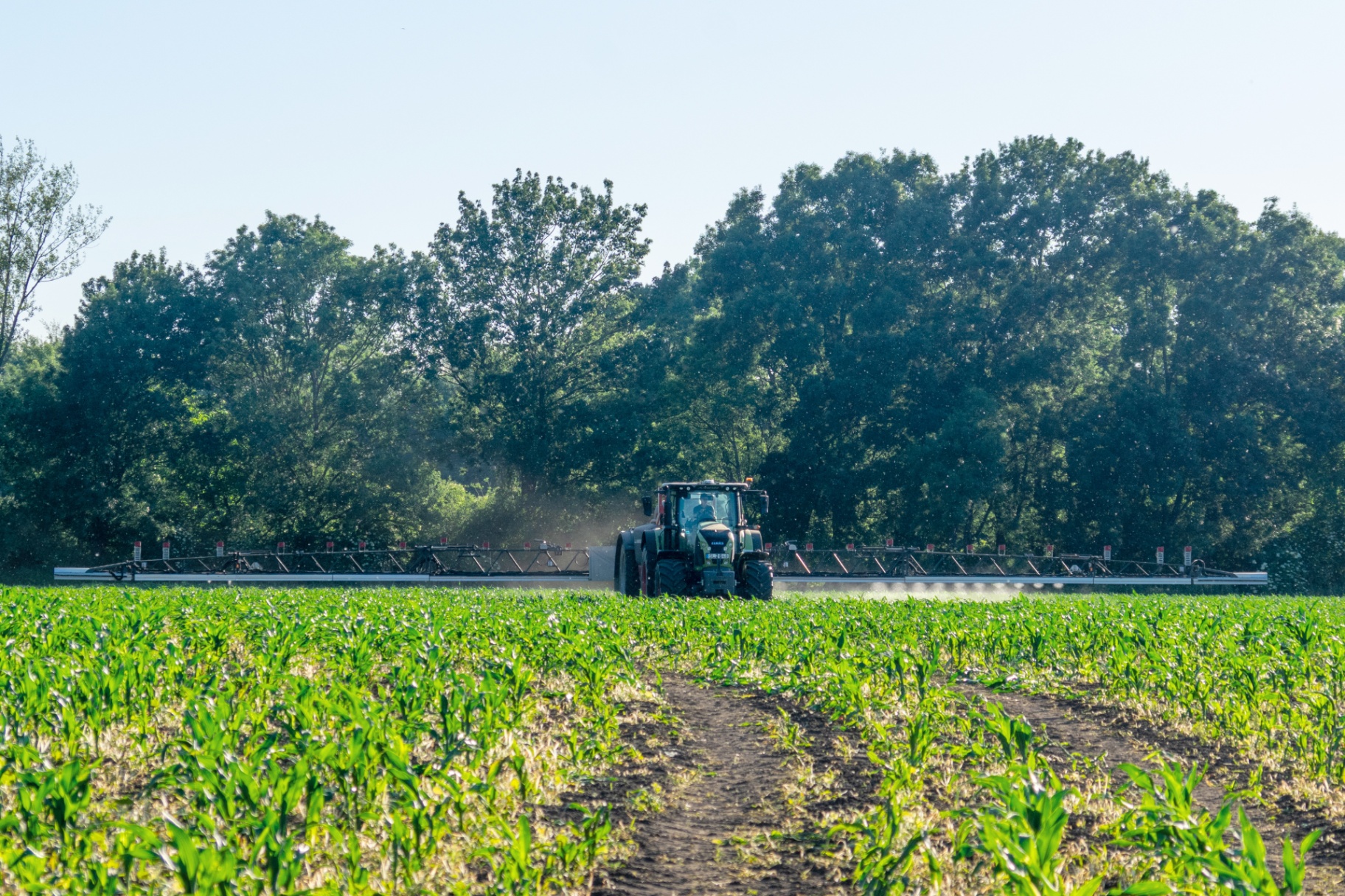 Tractor with wide boom performing real-time WeedEye spot spraying across a young corn field